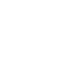 Optical Services
